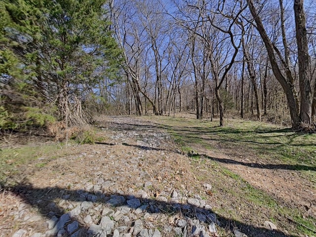 view of yard featuring a view of trees