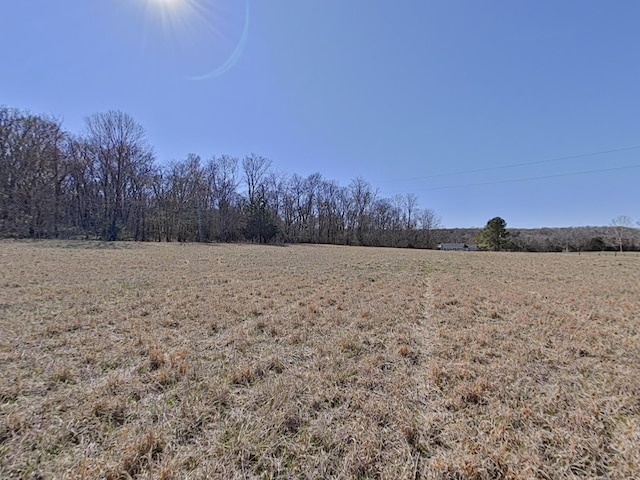 view of local wilderness featuring a rural view