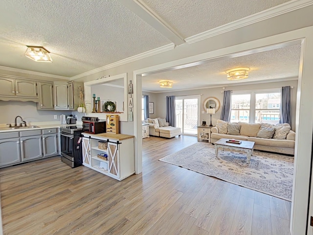 kitchen featuring gray cabinets, electric range, light wood-style floors, open floor plan, and a sink