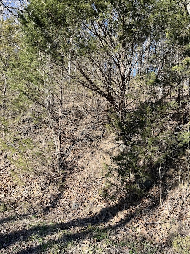 0 Davis Holw, Dowelltown TN, 37059 land for sale