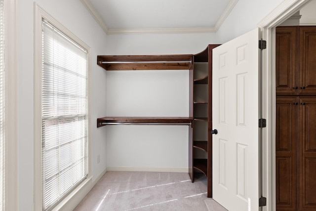 walk in closet featuring light colored carpet