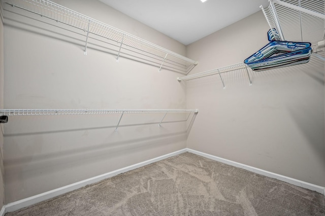 walk in closet with carpet