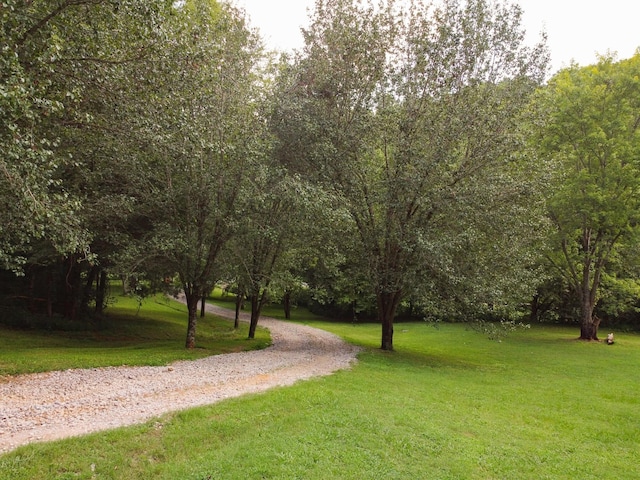 view of home's community featuring a yard