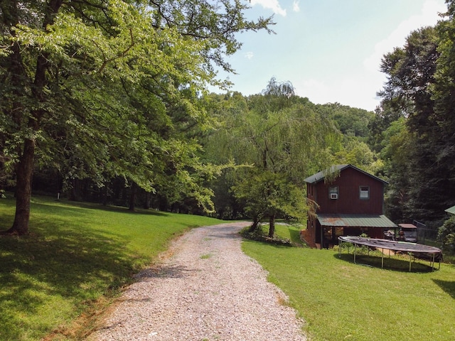 view of community with driveway, a trampoline, a lawn, and a view of trees