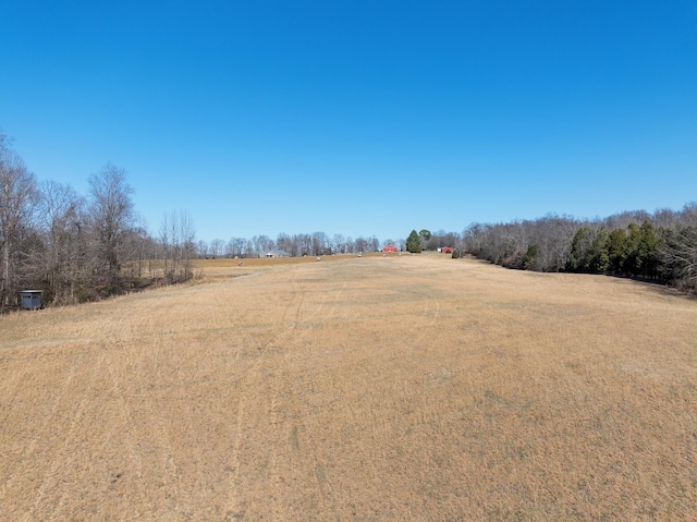 view of yard with a rural view