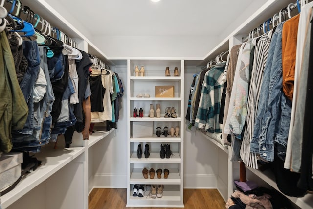 walk in closet featuring wood finished floors