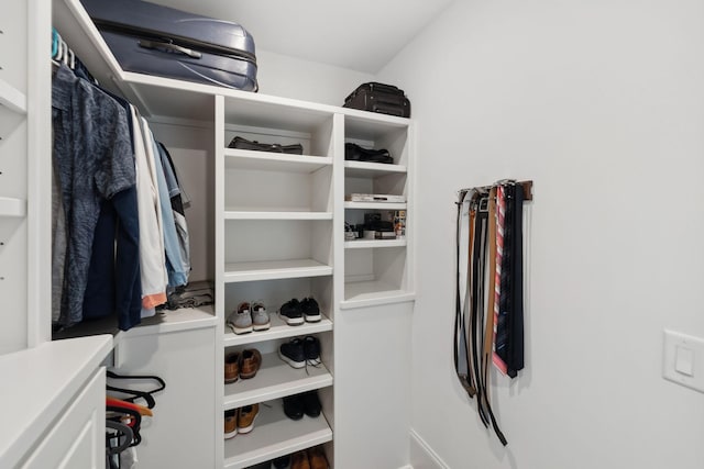 view of walk in closet