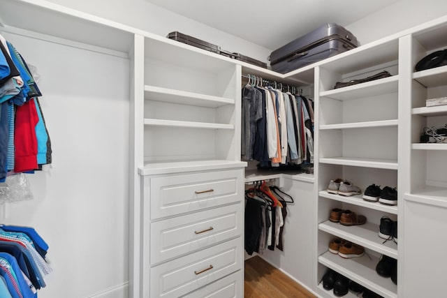 walk in closet featuring wood finished floors