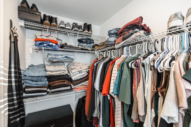 view of spacious closet