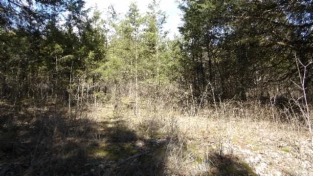 0 Lewis James Ln, Riddleton TN, 37151 land for sale