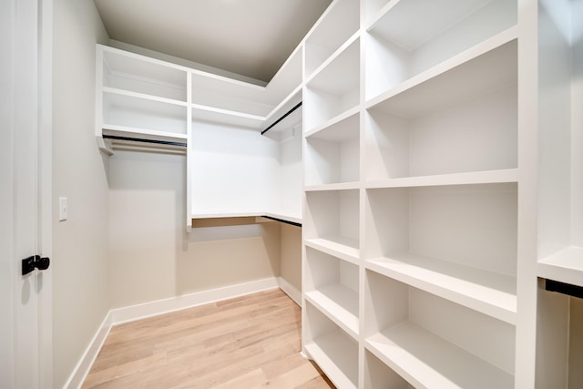 walk in closet with light wood-type flooring