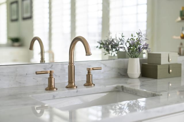 interior details with a sink