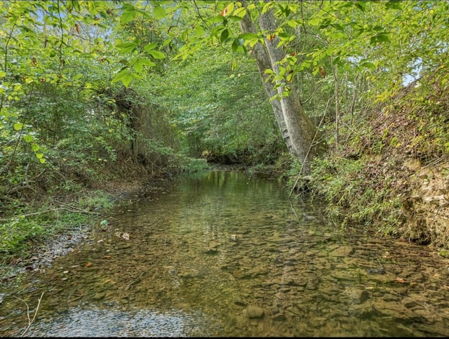 view of local wilderness featuring a water view and a wooded view