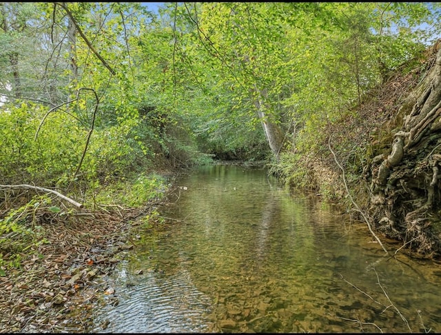 water view featuring a wooded view