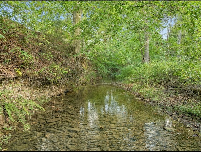 property view of water featuring a forest view