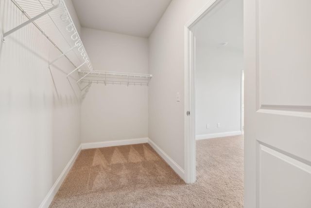 walk in closet with carpet floors