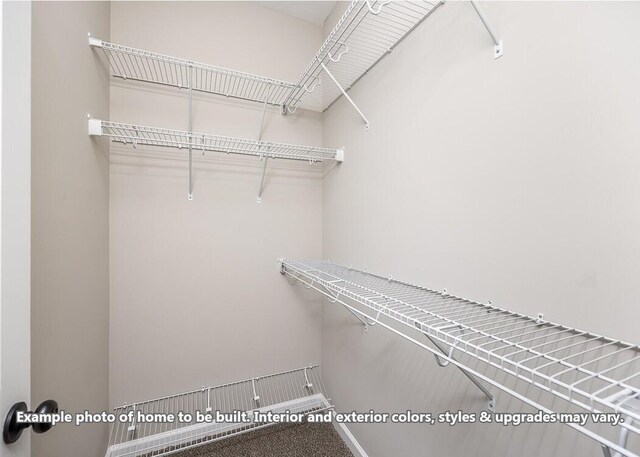 1163 Gardenia Ln, Clarksville, TN 37043 - walk in closet featuring carpet flooring