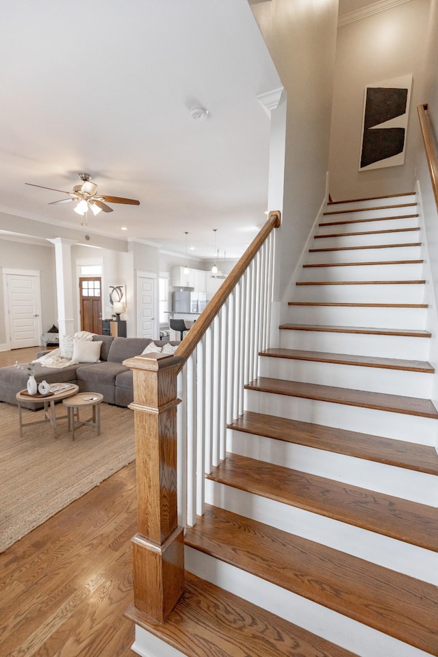 staircase featuring crown molding, a ceiling fan, and wood finished floors