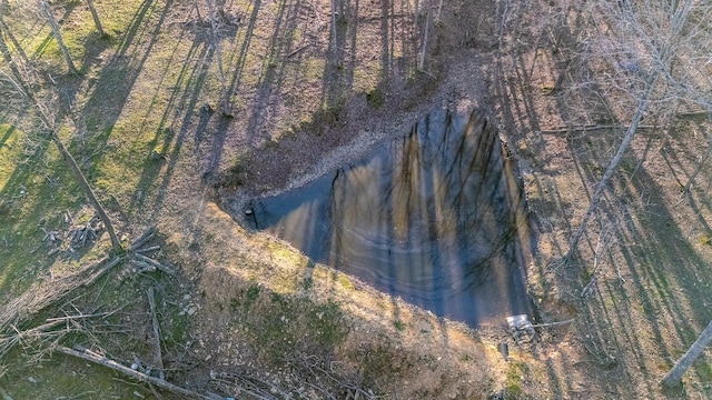 bird's eye view featuring a forest view