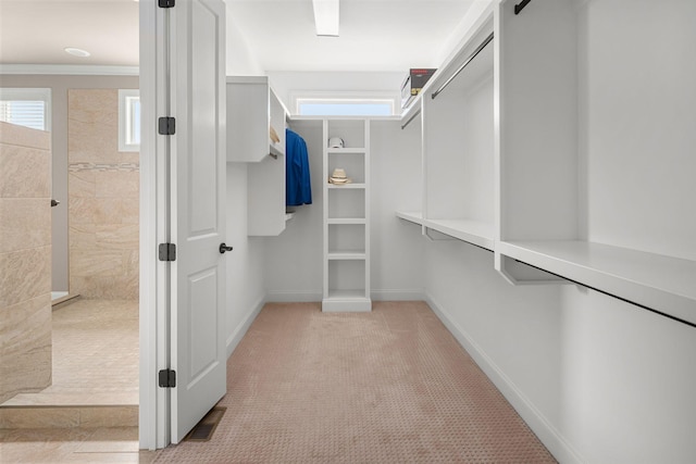 walk in closet featuring light colored carpet