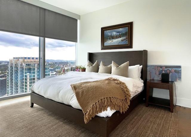 bedroom featuring a city view and baseboards