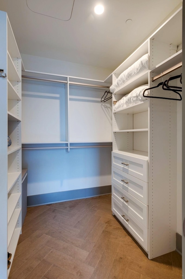 view of walk in closet