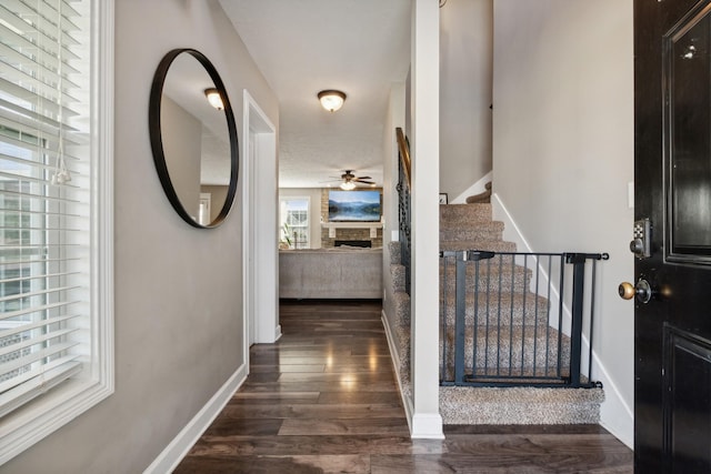 entryway with baseboards, ceiling fan, stairway, wood finished floors, and a fireplace