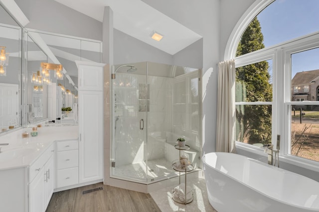 bathroom featuring a stall shower, a wealth of natural light, a soaking tub, and vanity