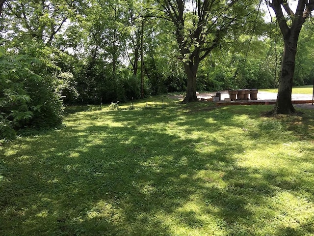 view of yard with a view of trees