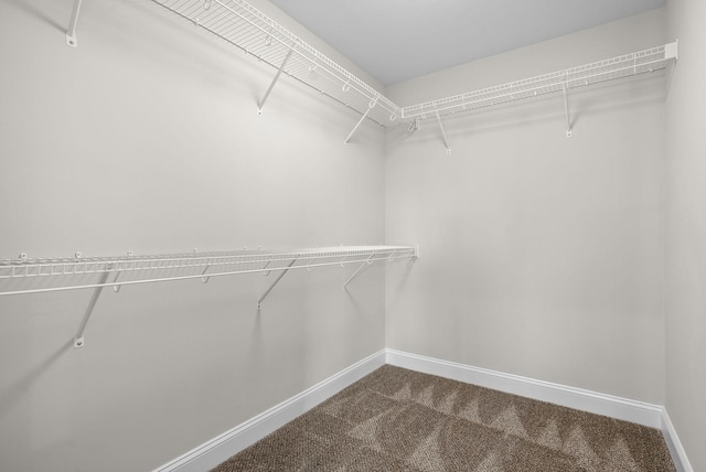 spacious closet featuring dark carpet