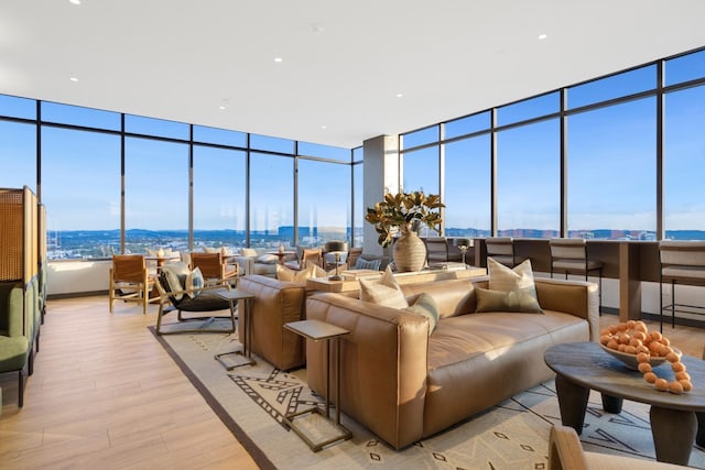 living room featuring a view of city, floor to ceiling windows, and light wood-type flooring