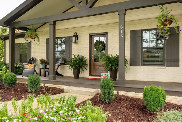 view of exterior entry with covered porch and brick siding