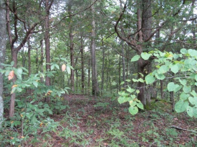 0 Malone, Nunnelly TN, 37137 land for sale