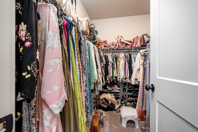 spacious closet with carpet