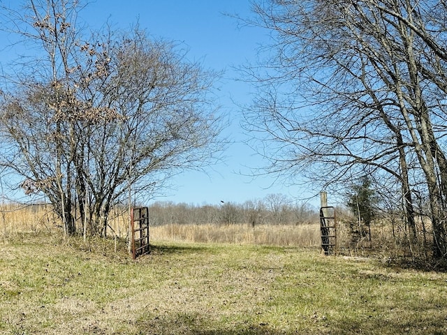 view of yard featuring a rural view