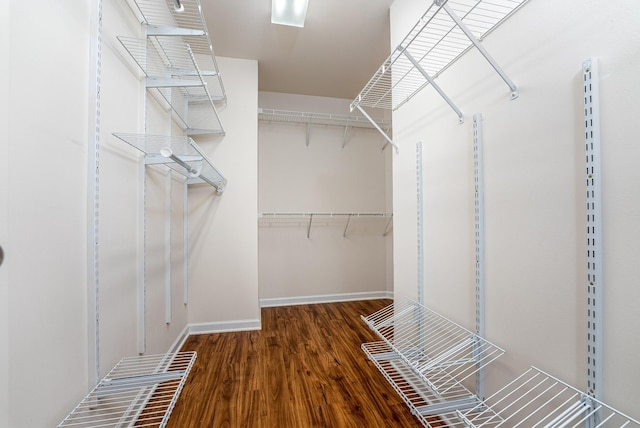 spacious closet featuring wood finished floors