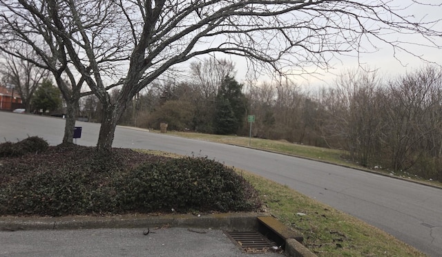 view of road featuring curbs