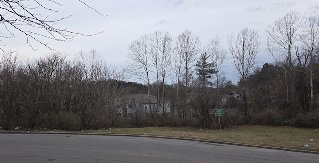 view of road featuring curbs