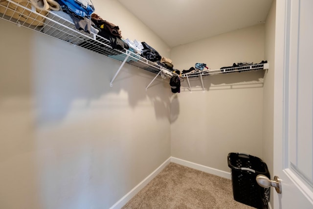 walk in closet featuring carpet