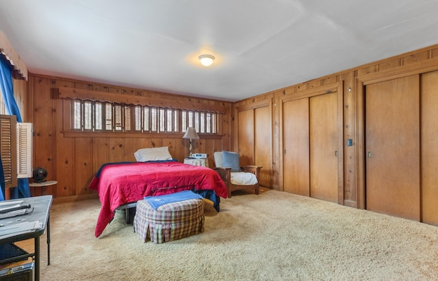 bedroom featuring wooden walls, multiple windows, and multiple closets