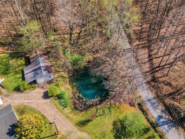 236 Iron City Rd, Iron City, TN 38463 - photo 42