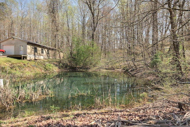 236 Iron City Rd, Iron City, TN 38463 - photo 34