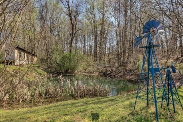 236 Iron City Rd, Iron City, TN 38463 - photo 30