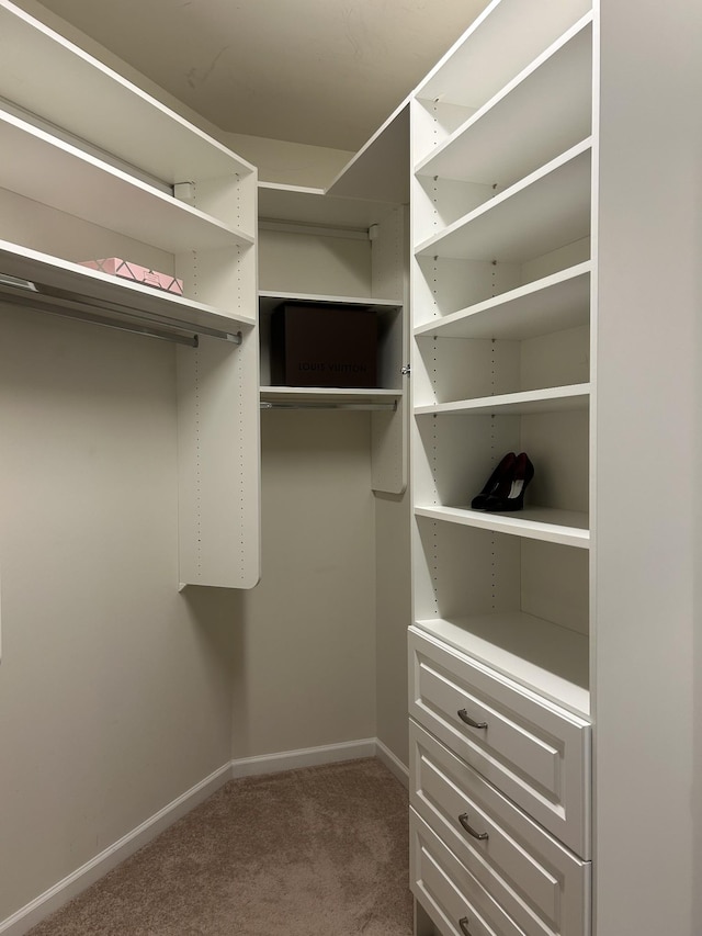 1012 Wooden Gate Dr, Franklin, TN 37064 - walk in closet featuring carpet