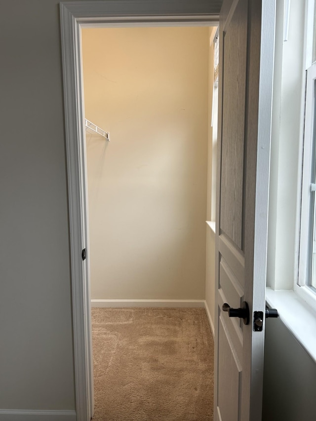 1012 Wooden Gate Dr, Franklin, TN 37064 - spacious closet featuring carpet floors