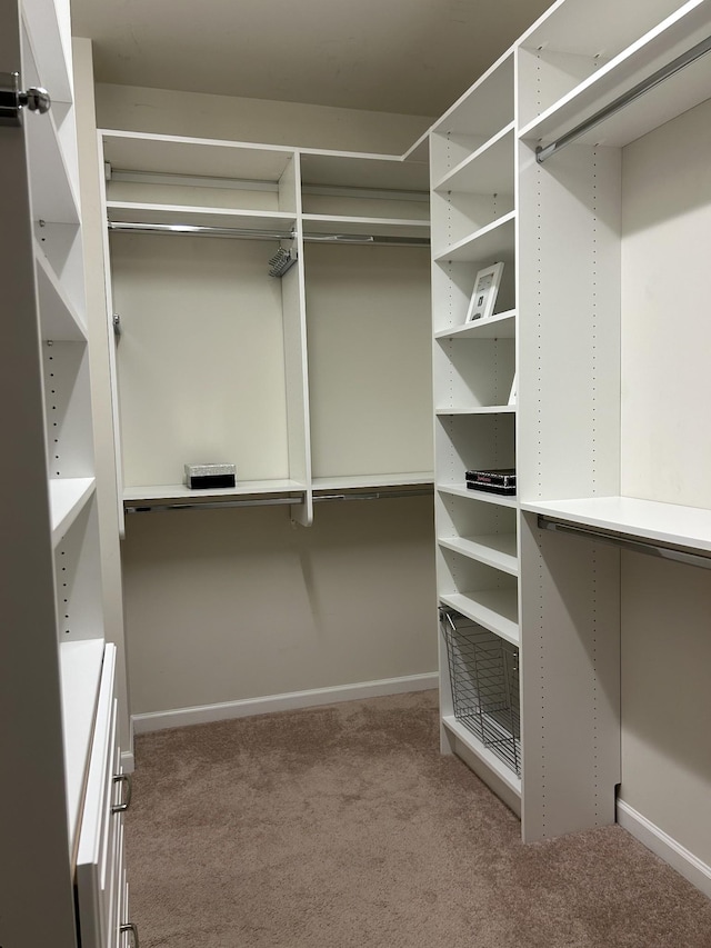 1012 Wooden Gate Dr, Franklin, TN 37064 - spacious closet with carpet floors