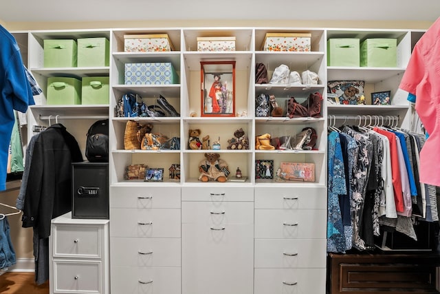 view of walk in closet