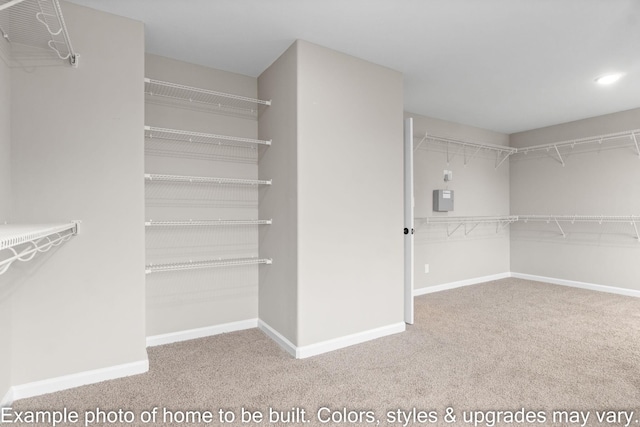 walk in closet with carpet floors and electric panel