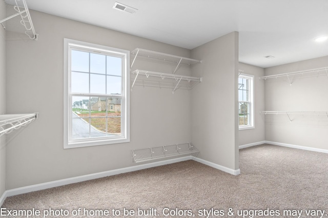 spacious closet with visible vents and carpet flooring