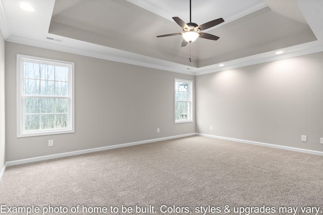 spare room featuring ornamental molding, carpet, a raised ceiling, and baseboards